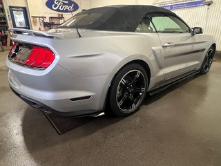2019  Mustang GT Premium in Bécancour (Gentilly Sector), Quebec - 5 - w320h240px