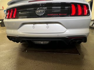 Mustang GT Premium 2019 à Bécancour (Secteur Gentilly), Québec - 6 - w320h240px