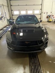 Mustang GT Premium 2024 à Bécancour (Secteur Gentilly), Québec - 2 - w320h240px