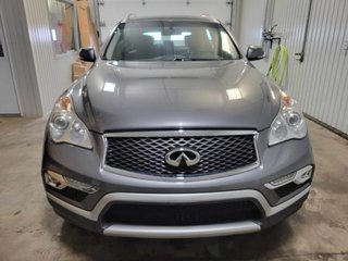 2017  QX50 in Bécancour (Gentilly Sector), Quebec - 4 - w320h240px