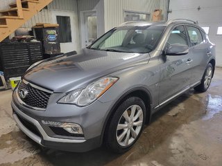2017  QX50 in Bécancour (Gentilly Sector), Quebec - 5 - w320h240px