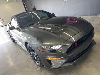 2018 Ford Mustang PREMIUM BLACK PACKAGE in Saint-Jean-Sur-Richelieu, Quebec - 2 - w320h240px