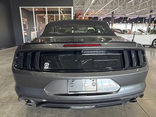 2018 Ford Mustang PREMIUM BLACK PACKAGE in Saint-Jean-Sur-Richelieu, Quebec - 5 - w320h240px