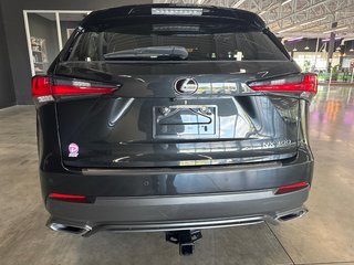 Lexus NX 300 LUXURY 2018 à Saint-Jean-Sur-Richelieu, Québec - 5 - w320h240px