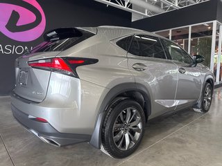 Lexus NX 300 2020 à Saint-Jean-Sur-Richelieu, Québec - 5 - w320h240px