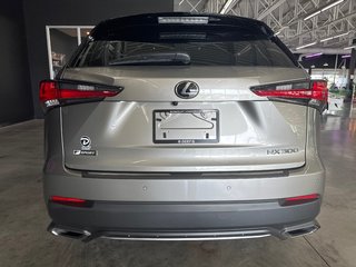 Lexus NX 300 2020 à Saint-Jean-Sur-Richelieu, Québec - 6 - w320h240px