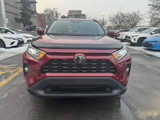 2019  RAV4 XLE in Longueuil, Quebec - 6 - w320h240px