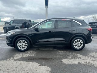 Ford Escape Active AWD 2024 à St-Jean-Sur-Richelieu, Québec - 6 - w320h240px