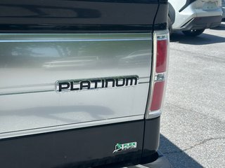 2010 Ford F-150 PLATINUM CUIR NAVIGATION TOIT OUVRANT 4X4 in St-Jean-Sur-Richelieu, Quebec - 4 - w320h240px