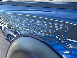 Ford F-150 Raptor CUIR NAVIGATION TOIT PANORAMIQUE 2020 à St-Jean-Sur-Richelieu, Québec - 3 - w320h240px
