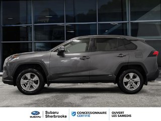 Toyota RAV4 HYBRID/LE/AWD 2023 à Sherbrooke, Québec - 3 - w320h240px
