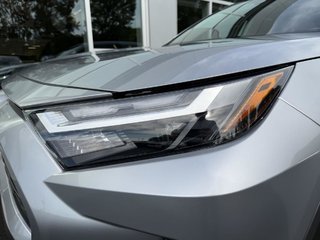 Toyota RAV4 AWD XLE TOIT OUVRANT 2024 à Québec, Québec - 6 - w320h240px