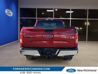 2016 Ford F-150 Cab SuperCrew 4RM 157 po XLT in New Richmond, Quebec - 3 - w320h240px