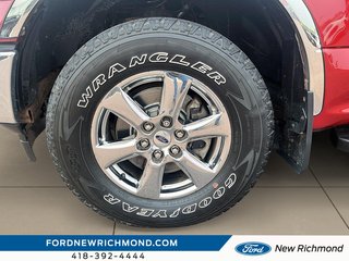 Ford F-150 XLT cabine simple 4RM caisse de 6,5 pi 2019 à New Richmond, Québec - 6 - w320h240px