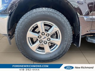 Ford F-150 XLT cabine SuperCrew 4RM caisse de 5,5 pi 2019 à New Richmond, Québec - 6 - w320h240px