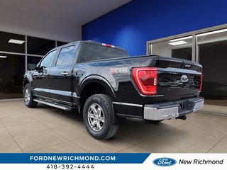 Ford F-150 XLT cabine SuperCrew 4RM caisse de 5,5 pi 2023 à New Richmond, Québec - 5 - w320h240px