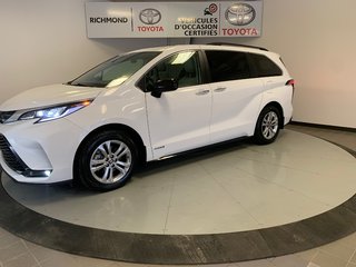 Sienna  2021 à Richmond, Québec - 3 - w320h240px