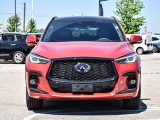 2024  QX50 SPORT in Hannon, Ontario - 4 - w320h240px