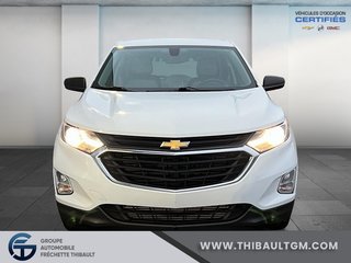 2019 Chevrolet EQUINOX LS AWD in Montmagny, Quebec - 2 - w320h240px