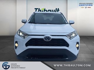 RAV4 Hybrid AWD XLE 2021, Québec - 2 - w320h240px