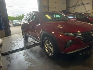 2024 Hyundai Tucson Preferred in Hawkesbury, Ontario - 5 - w320h240px