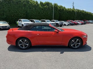 Ford Mustang V6 décapotable 2016 à Hawkesbury, Ontario - 4 - w320h240px