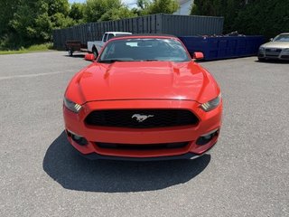 Ford Mustang V6 décapotable 2016 à Hawkesbury, Ontario - 2 - w320h240px