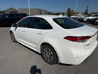 2023 Toyota Corolla Hybride LE AWD in Hawkesbury, Ontario - 3 - w320h240px