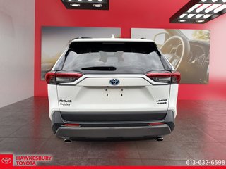 Toyota RAV4 Hybrid Limited 2019 à Hawkesbury, Ontario - 6 - w320h240px