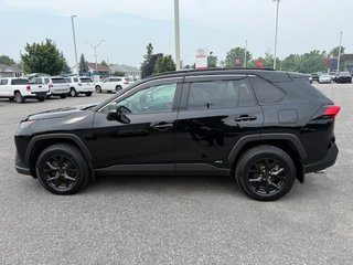 Toyota RAV4 Hybrid LE 2022 à Hawkesbury, Ontario - 6 - w320h240px