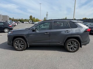 2023 Toyota RAV4 Hybrid Limited in Hawkesbury, Ontario - 6 - w320h240px