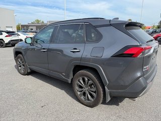 2023 Toyota RAV4 Hybrid Limited in Hawkesbury, Ontario - 3 - w320h240px