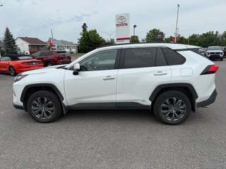 2025 Toyota RAV4 Hybrid Limited in Hawkesbury, Ontario - 6 - w320h240px