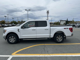 2021  F-150 XLT in St. John's, Newfoundland and Labrador - 4 - w320h240px