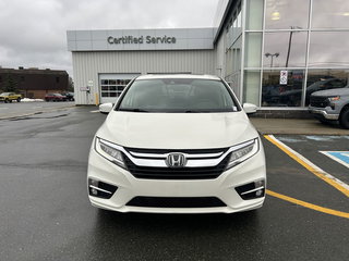 2018  Odyssey Touring in Newfoundland, Newfoundland and Labrador - 2 - w320h240px