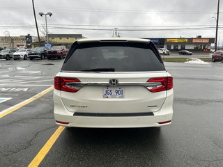 2018  Odyssey Touring in Newfoundland, Newfoundland and Labrador - 6 - w320h240px