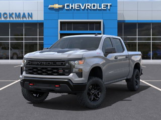 2025 Chevrolet Silverado 1500 Custom Trail Boss in St. John's, Newfoundland and Labrador - 6 - w320h240px