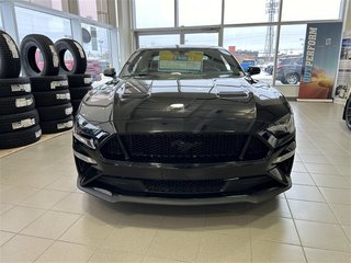 2020  Mustang GT in St. John's, Newfoundland and Labrador - 2 - w320h240px