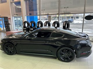 2020  Mustang GT in Clarenville, Newfoundland and Labrador - 4 - w320h240px