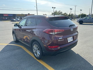 2016  Tucson Premium in Gander, Newfoundland and Labrador - 5 - w320h240px