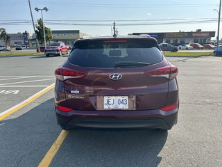 2016  Tucson Premium in Gander, Newfoundland and Labrador - 6 - w320h240px