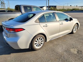 2020  Corolla SE in Carbonear, Newfoundland and Labrador - 2 - w320h240px