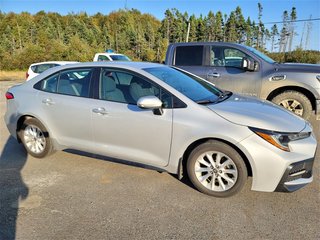 2020  Corolla SE in St. John's, Newfoundland and Labrador - 3 - w320h240px