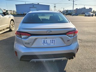 2020  Corolla SE in Carbonear, Newfoundland and Labrador - 4 - w320h240px