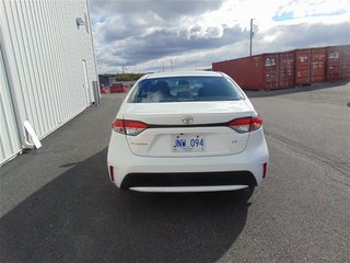2021  Corolla LE in Clarenville, Newfoundland and Labrador - 5 - w320h240px