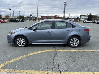 2021  Corolla LE in St. John's, Newfoundland and Labrador - 4 - w320h240px