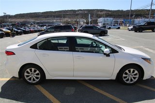 2021  Corolla LE in Burin bay Arm, Newfoundland and Labrador - 4 - w320h240px