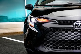 2021  Corolla LE in Newfoundland, Newfoundland and Labrador - 5 - w320h240px