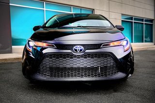 2021  Corolla LE in Newfoundland and Labrador, Newfoundland and Labrador - 3 - w320h240px