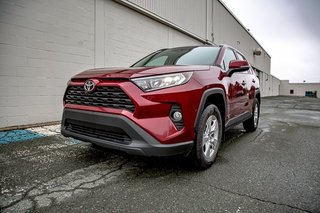 2021  RAV4 XLE in Clarenville, Newfoundland and Labrador - 2 - w320h240px